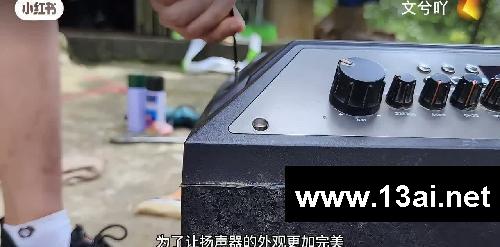 揭秘扬声器维修全过程，阿霞让音乐再次流动